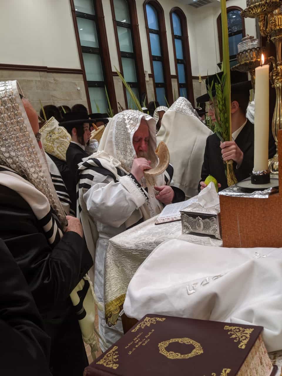 Blog Image