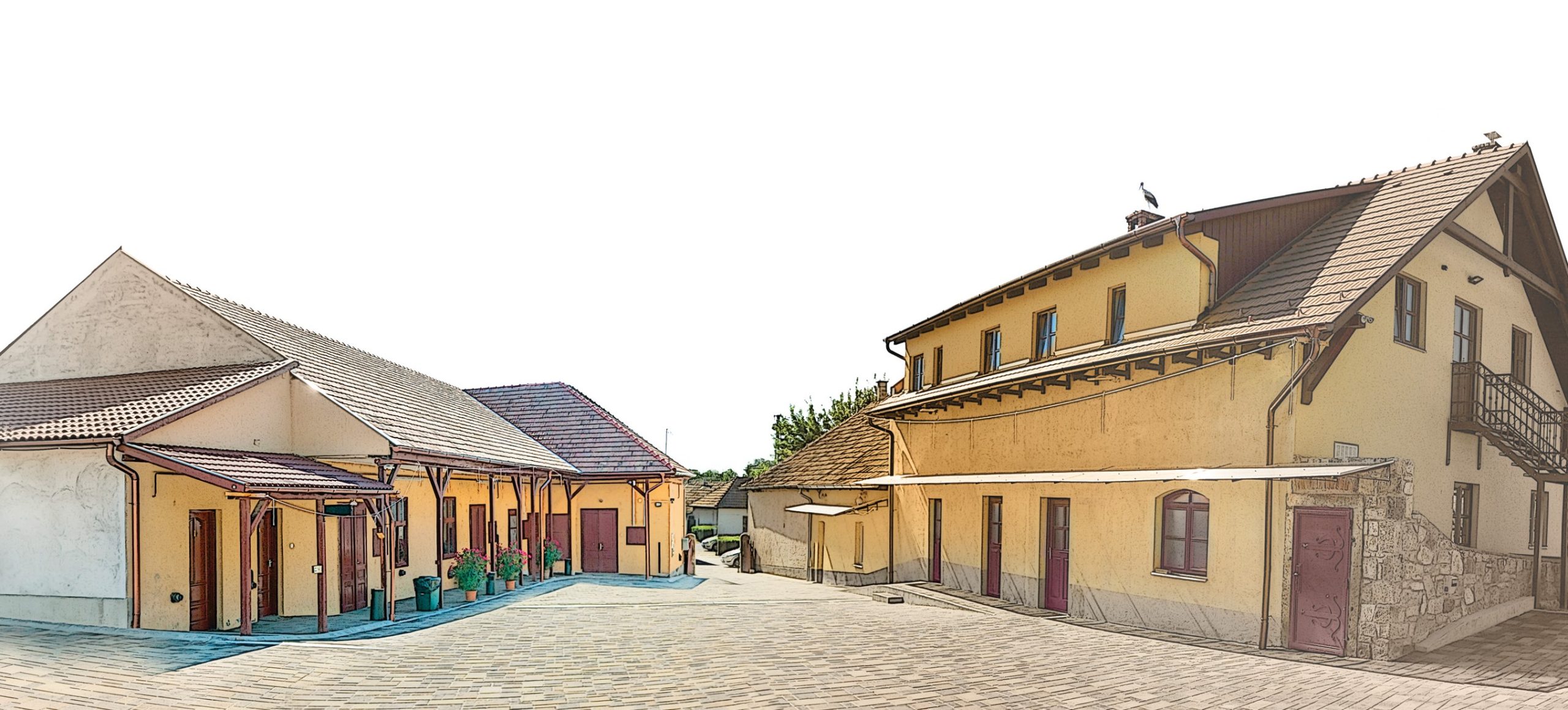 Blog Image