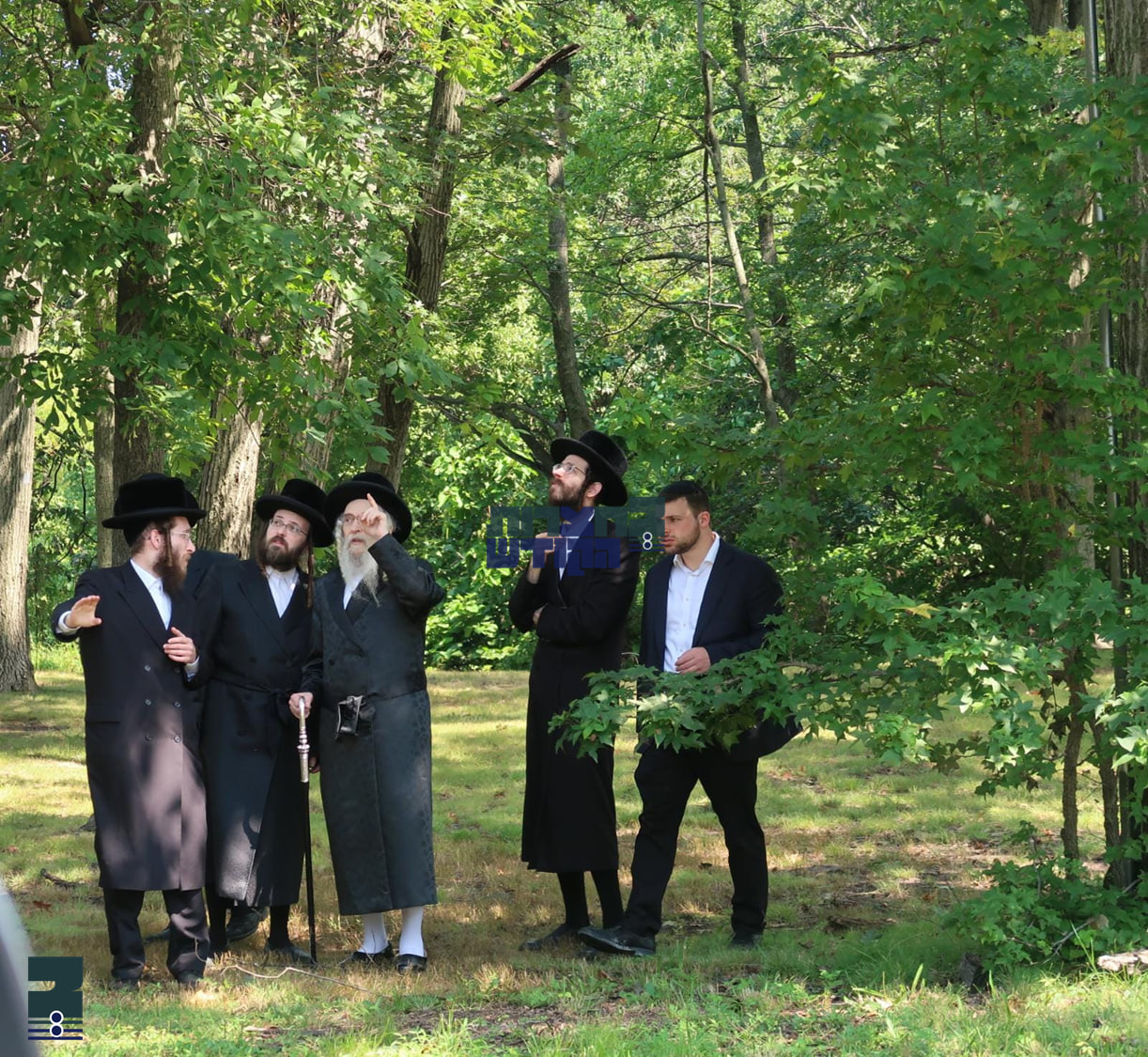 Blog Image