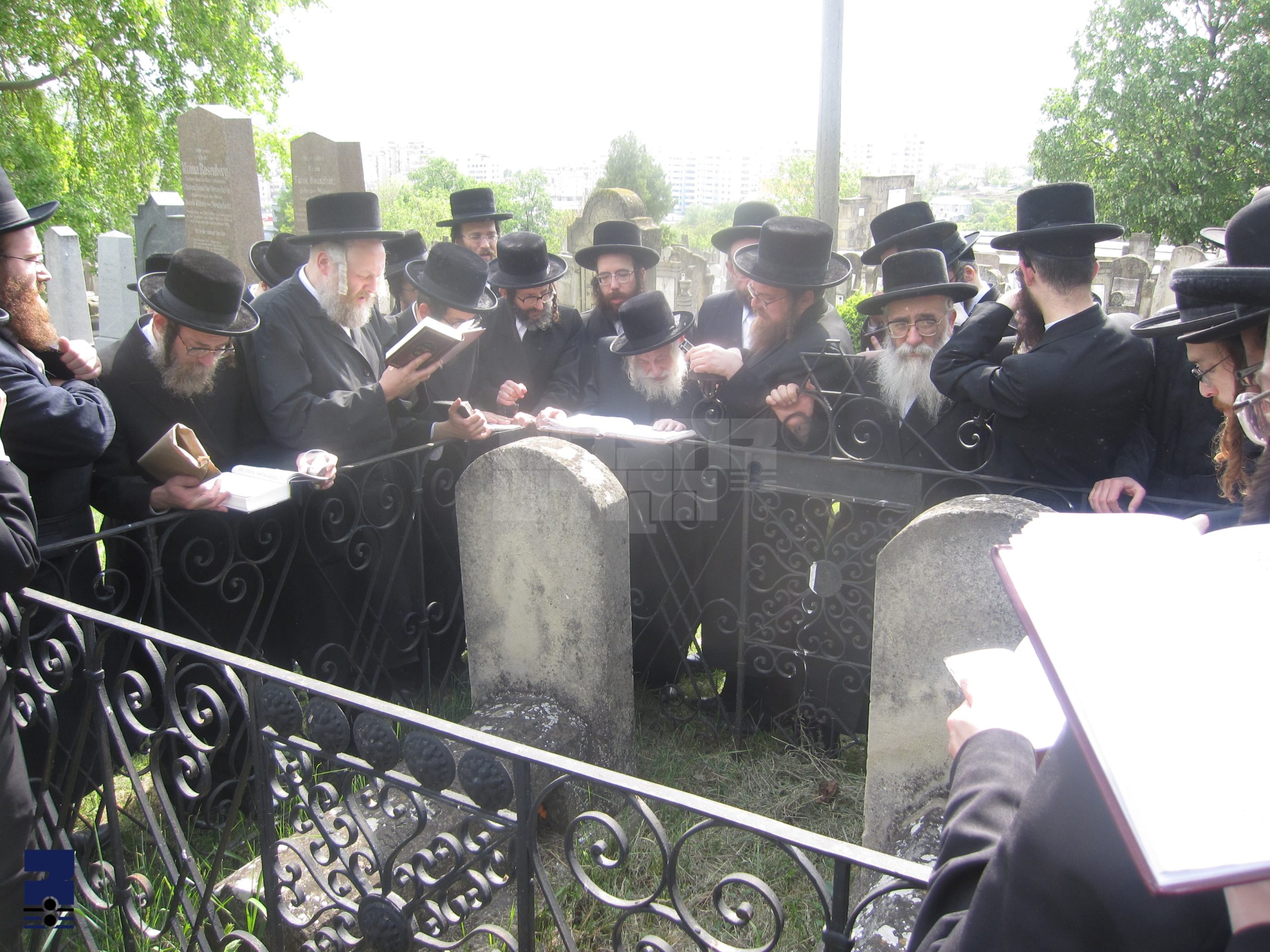 Blog Image