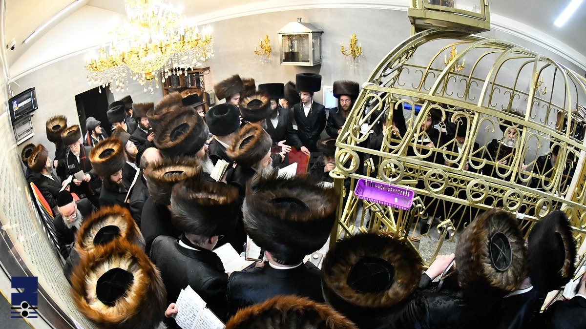 Blog Image