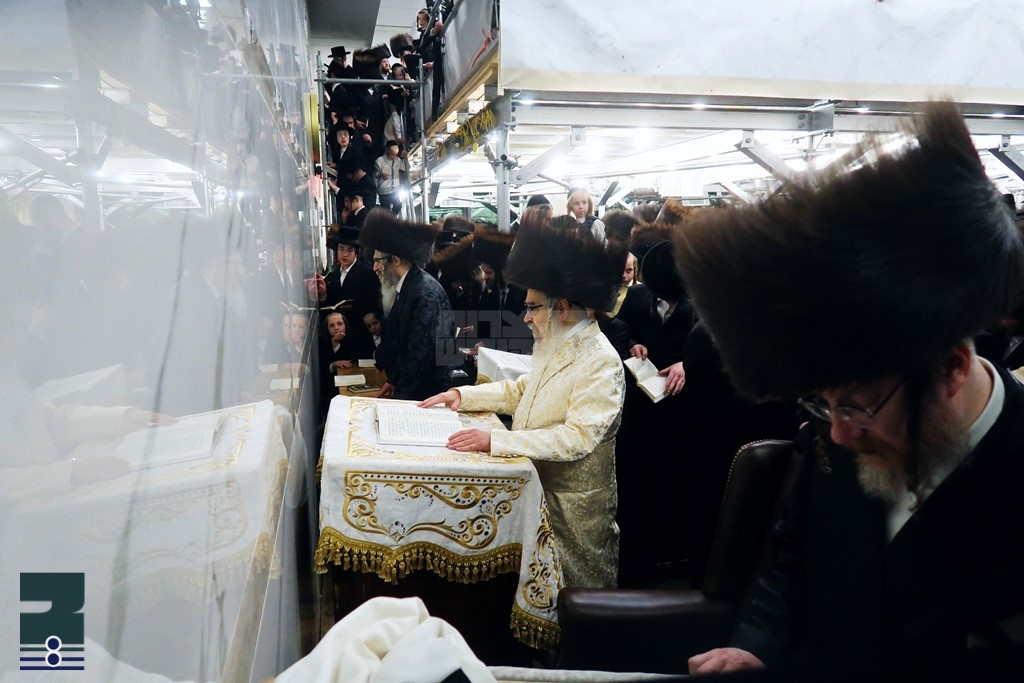 Blog Image