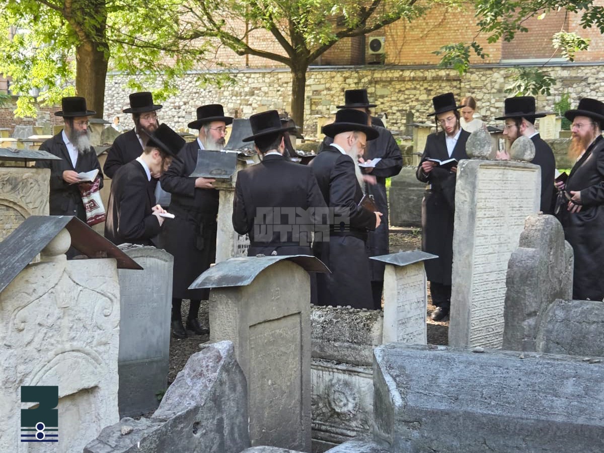 Blog Image