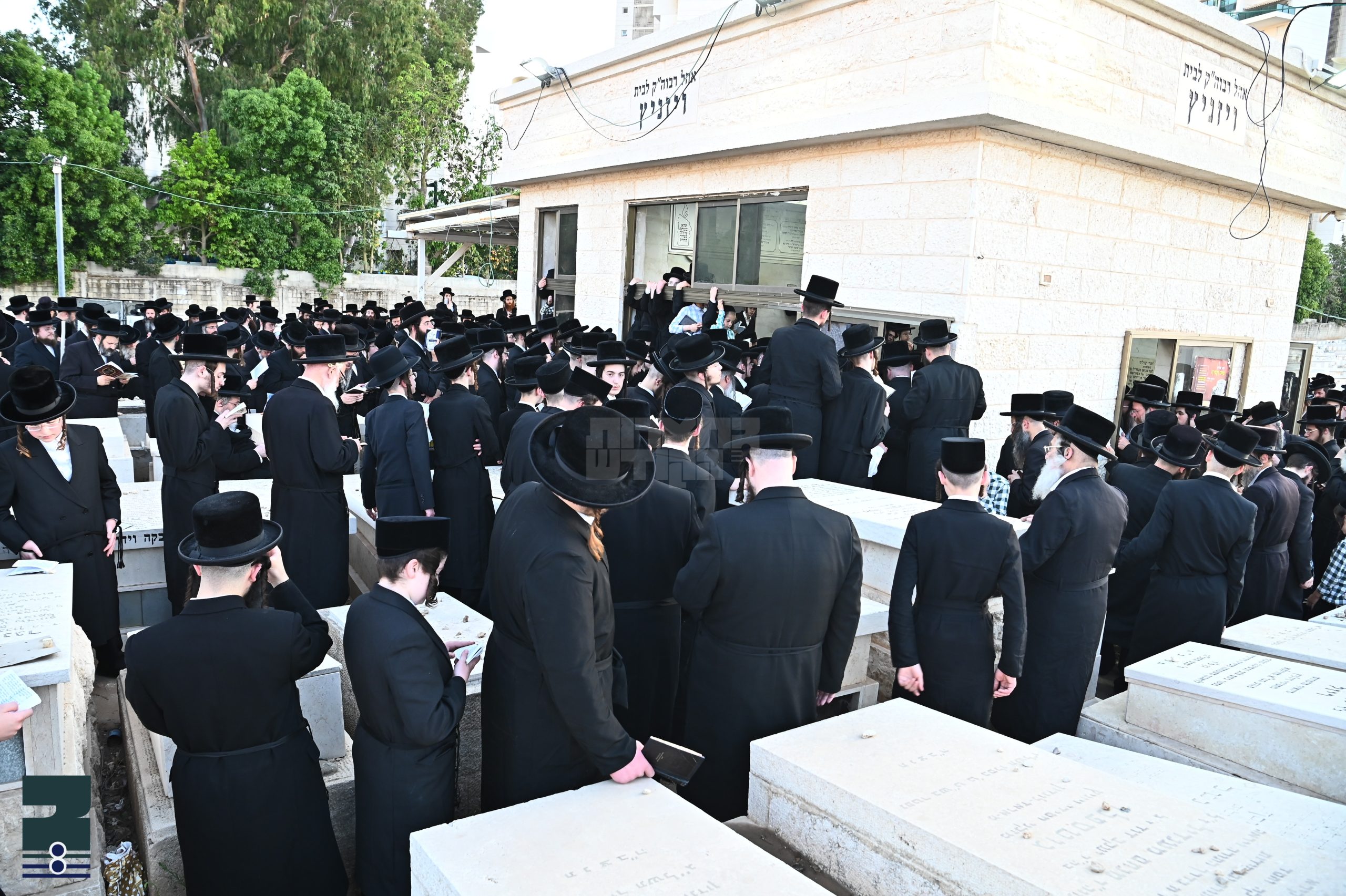 Blog Image
