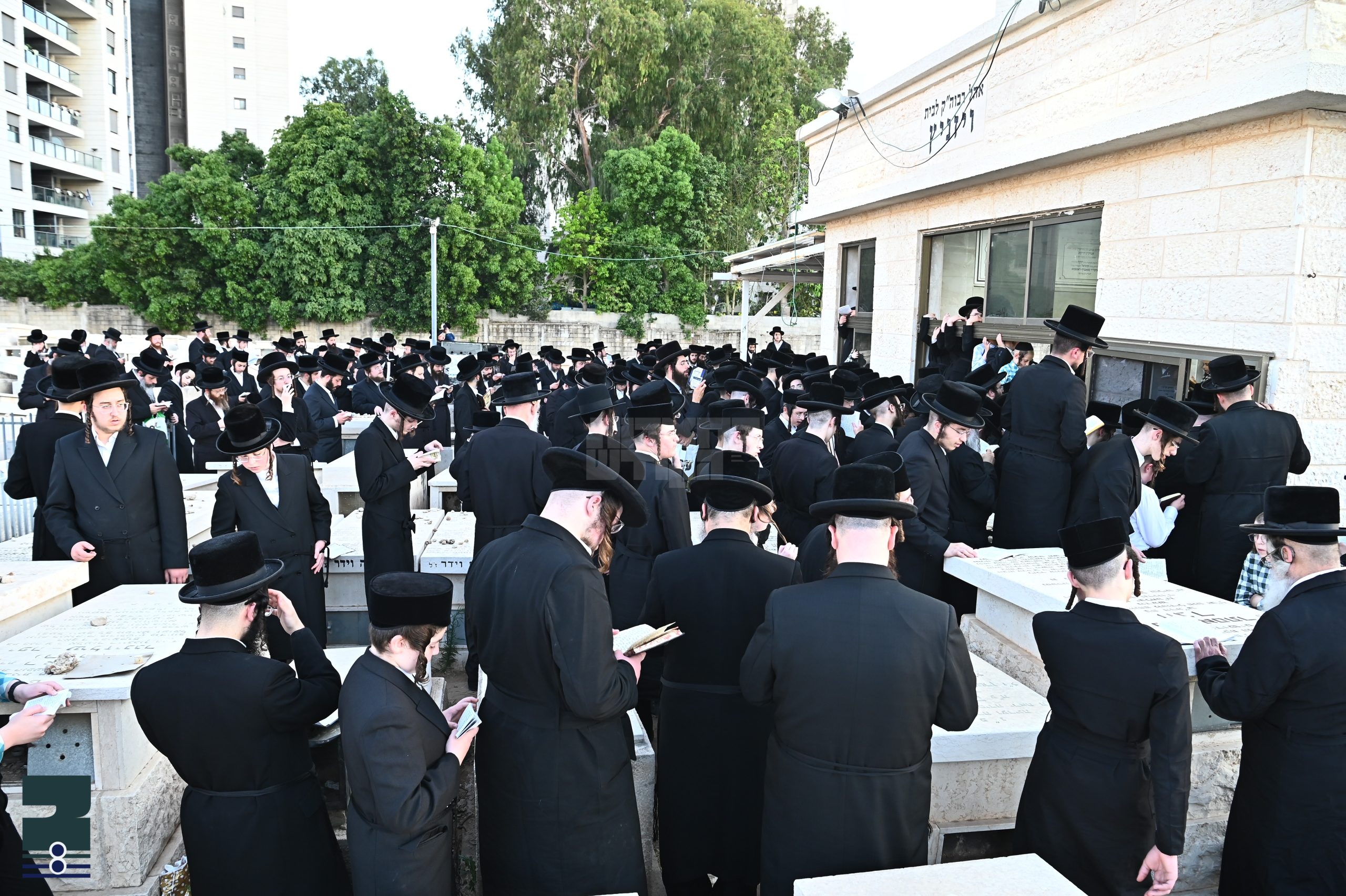 Blog Image