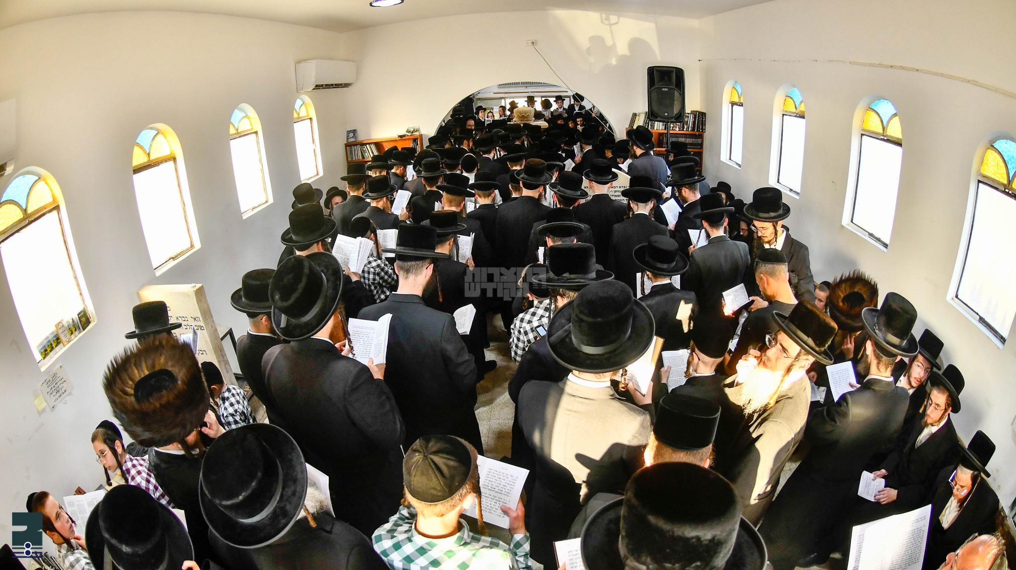 Blog Image