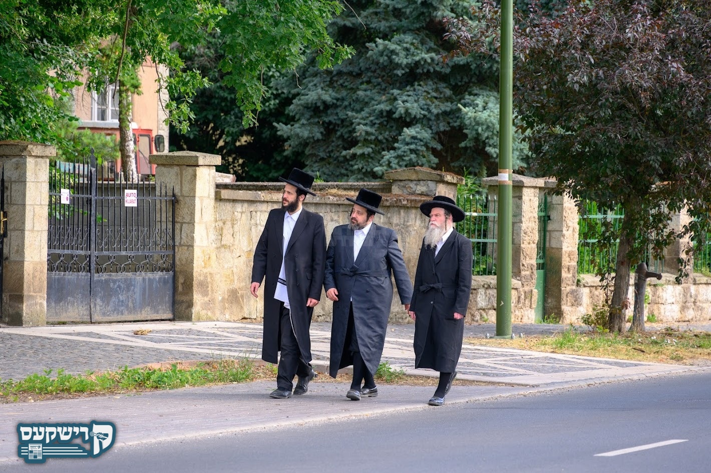 Blog Image