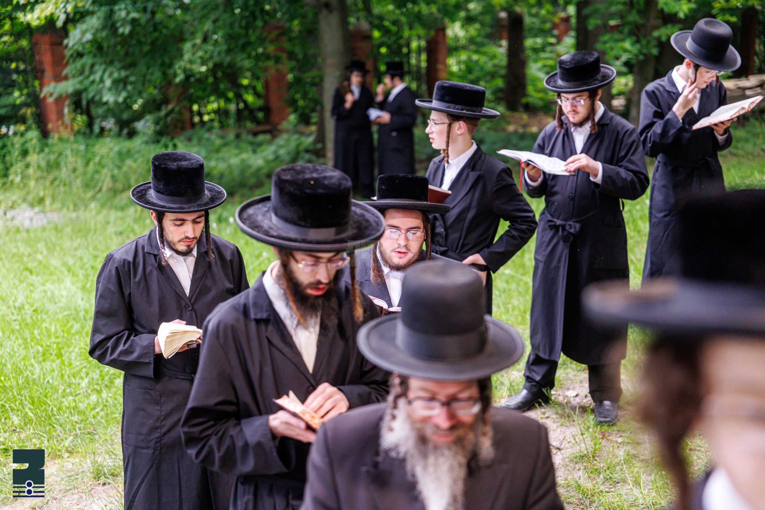 Blog Image