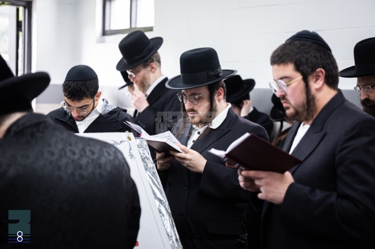 Blog Image