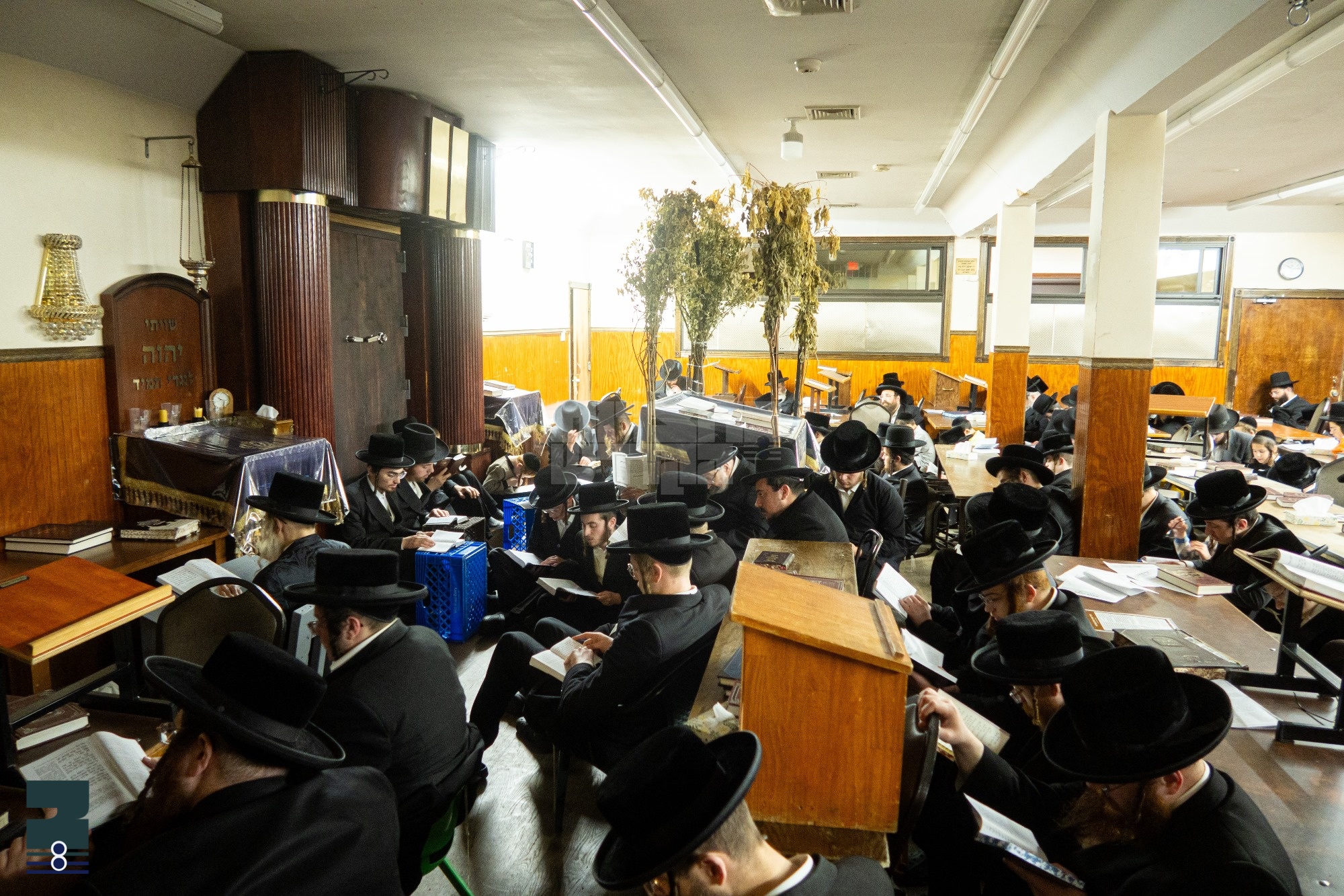 Blog Image