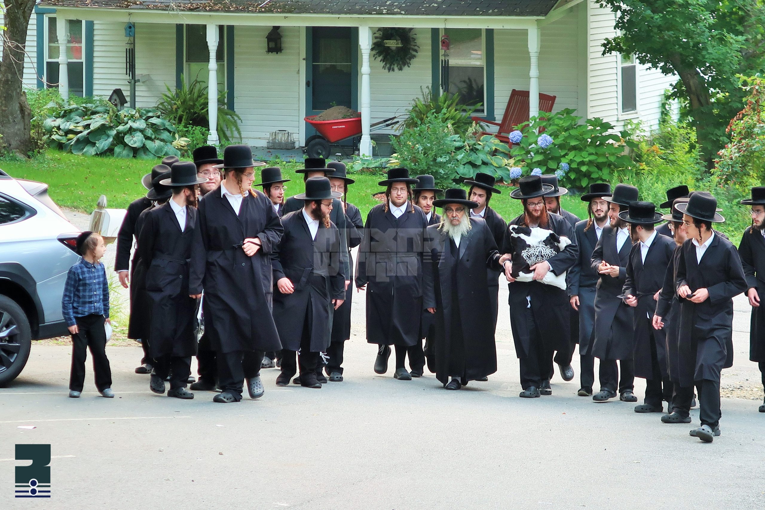 Blog Image