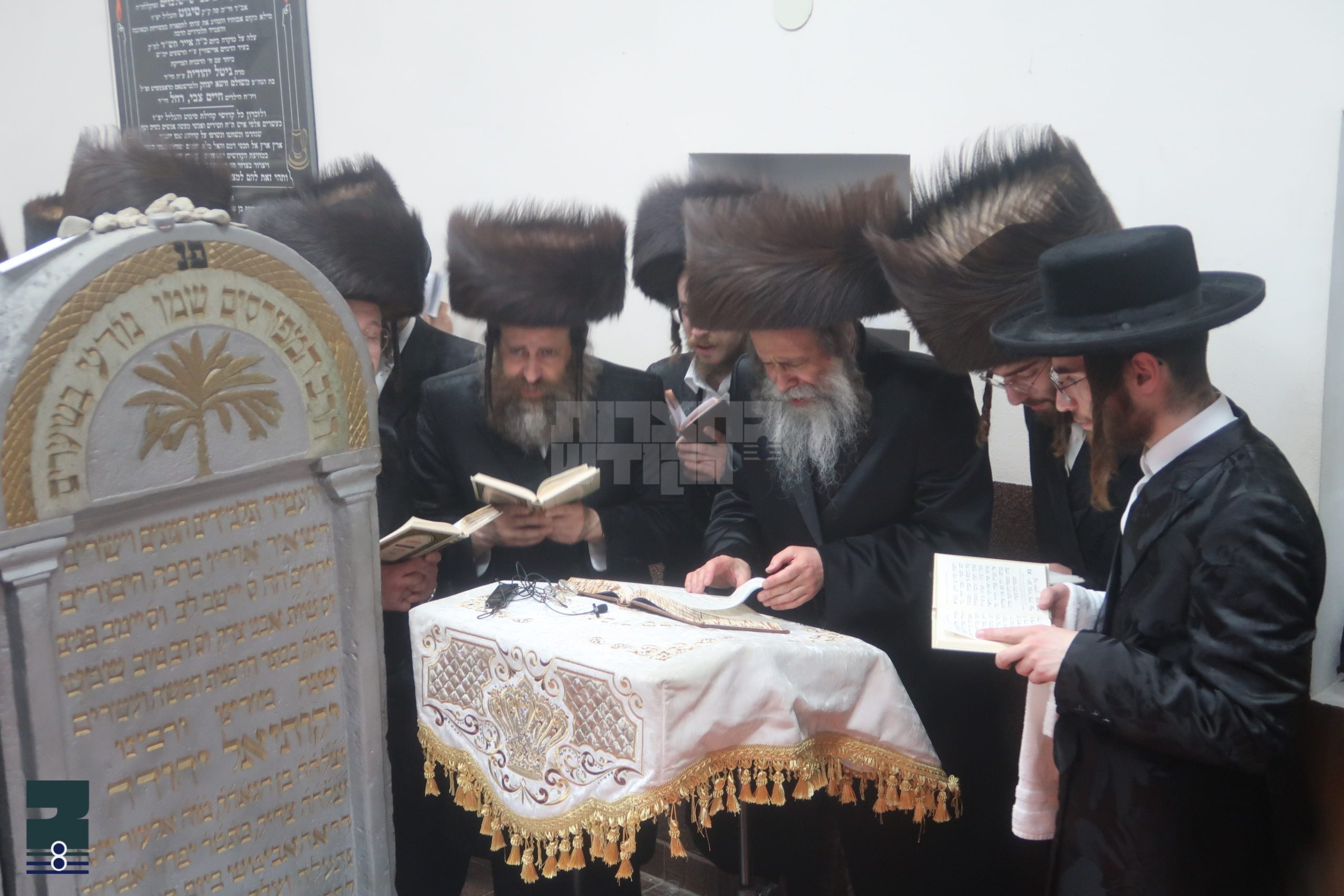Blog Image