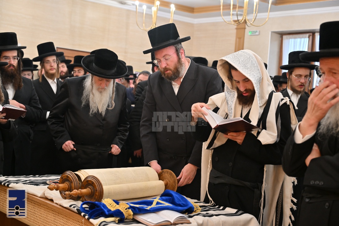 Blog Image