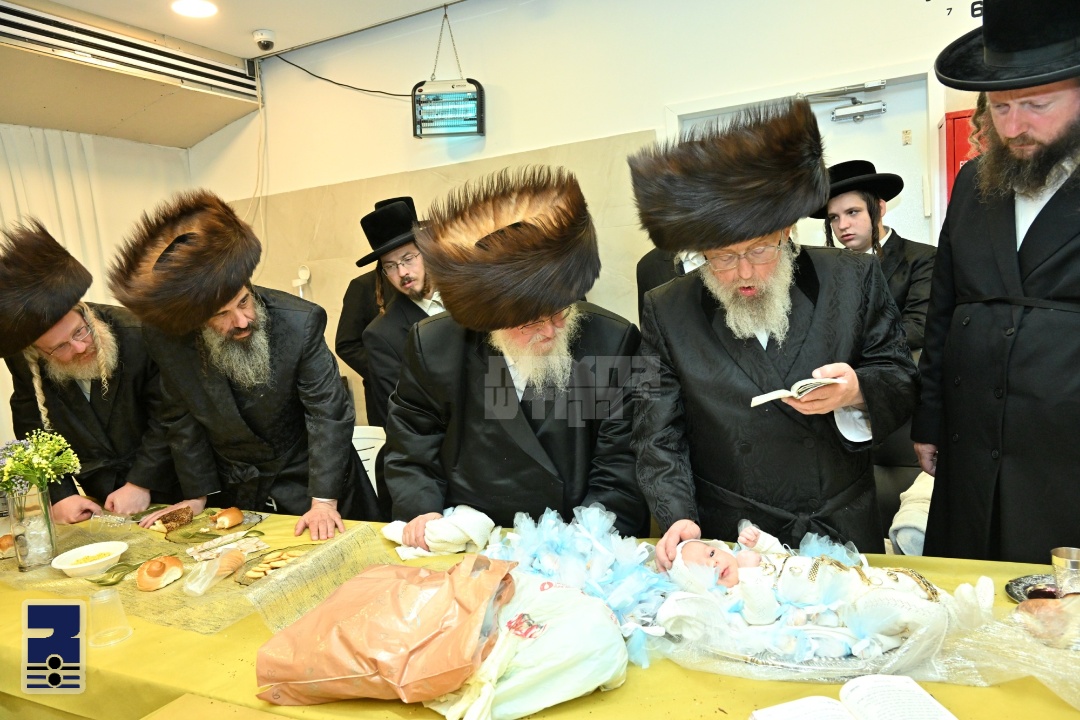 Blog Image