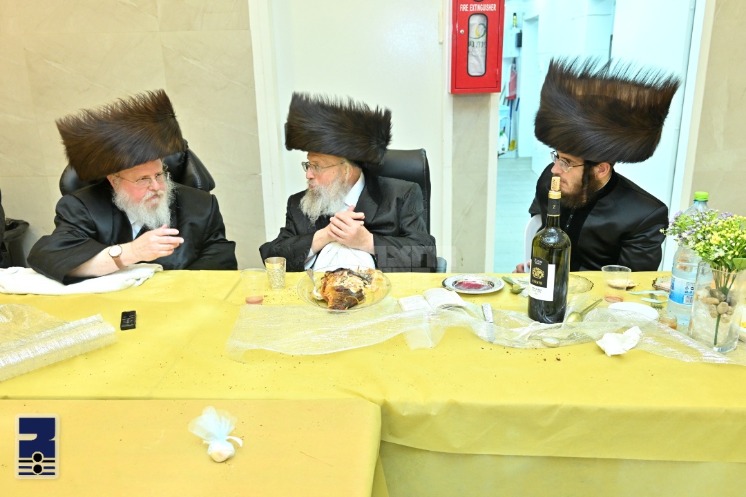 Blog Image