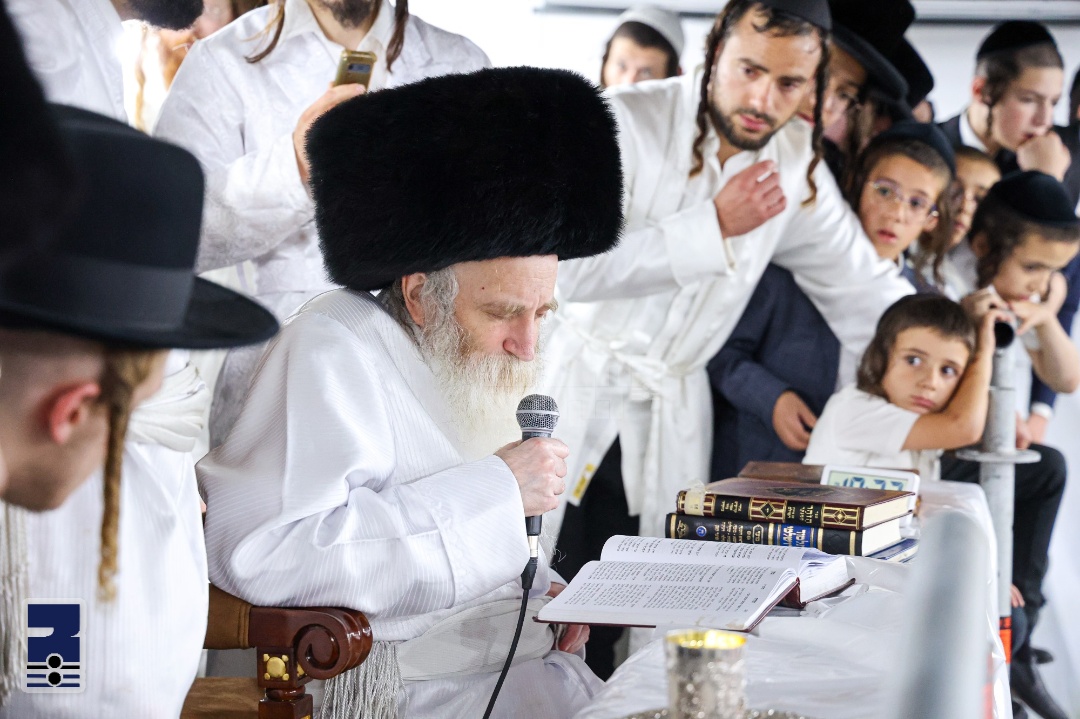 Blog Image