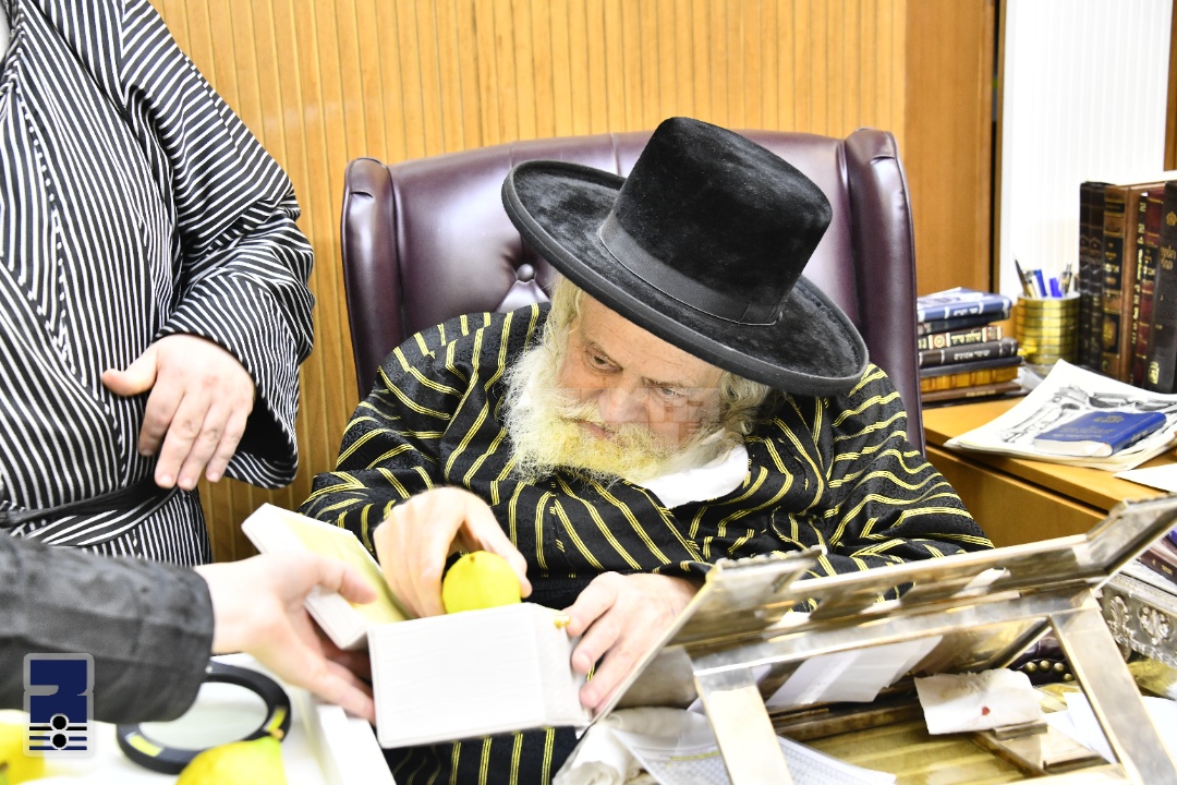 Blog Image