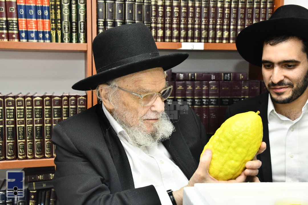 Blog Image