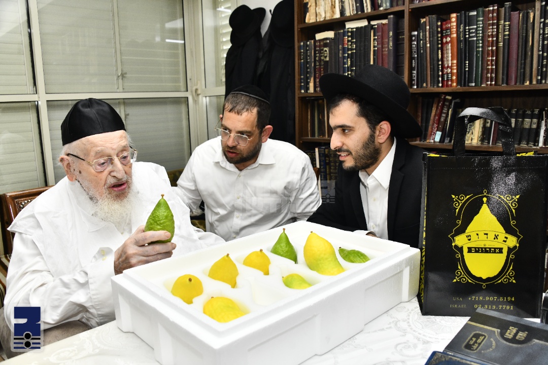 Blog Image