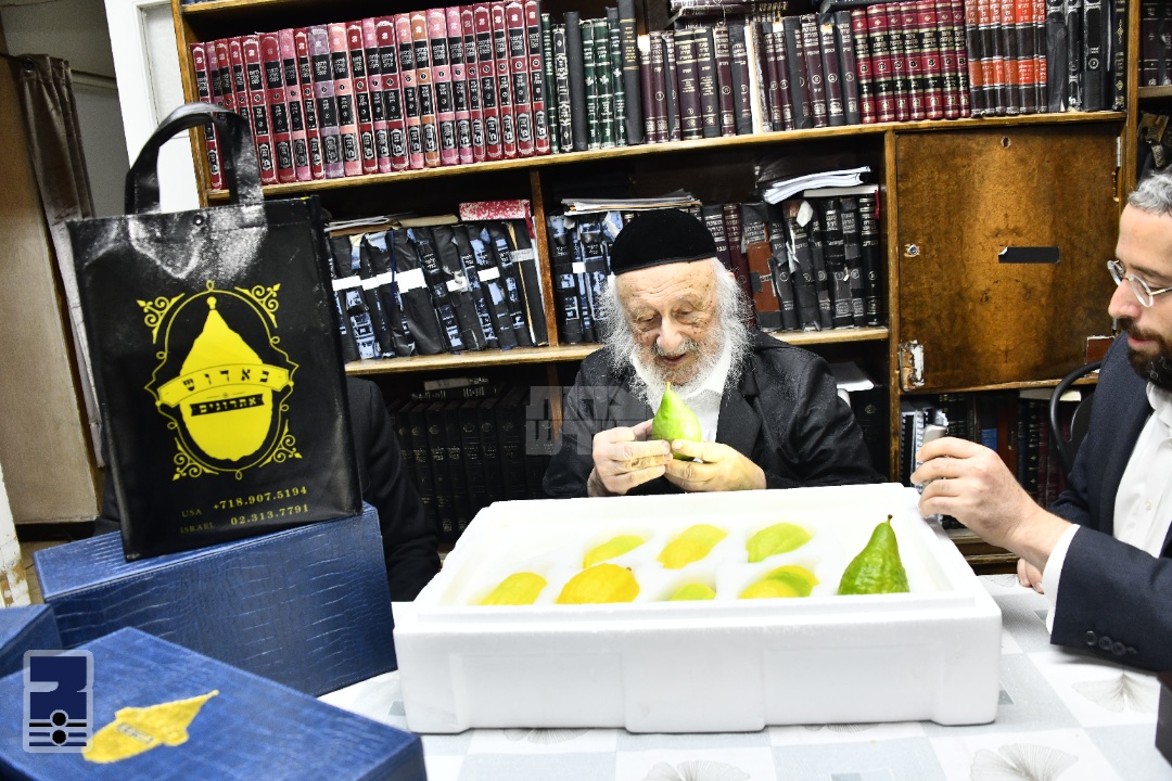 Blog Image