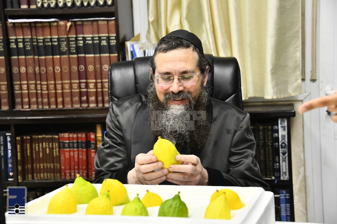 Blog Image
