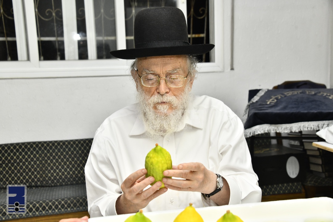 Blog Image