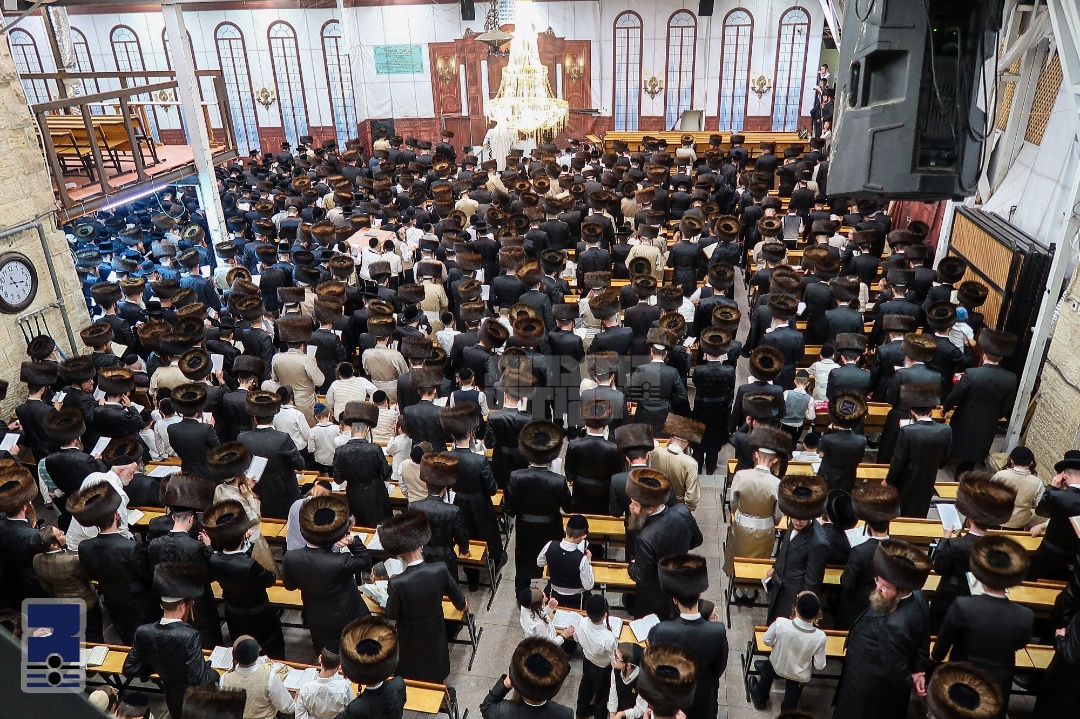 Blog Image