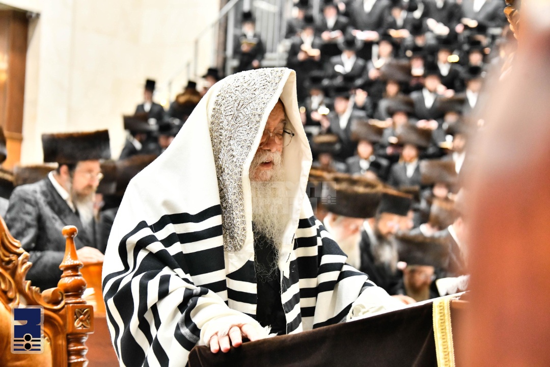 Blog Image