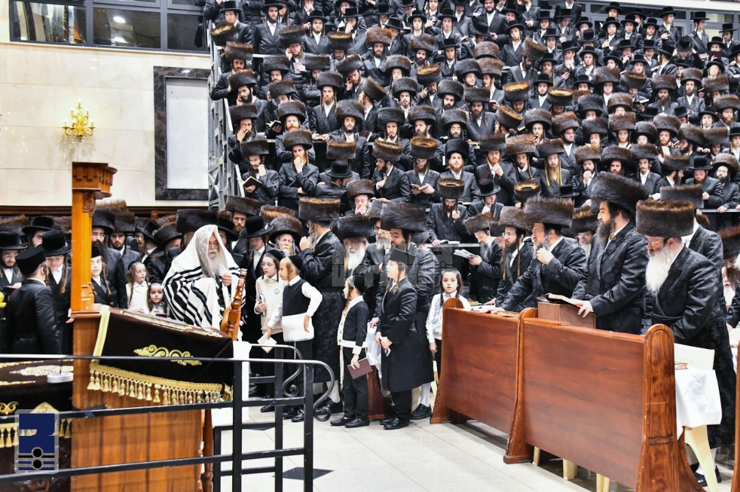 Blog Image