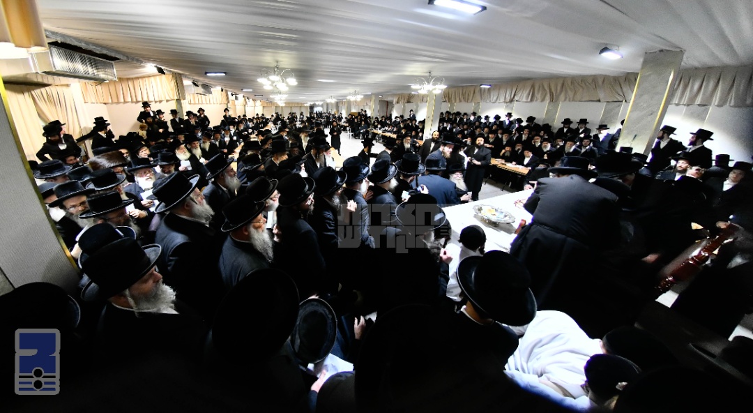 Blog Image