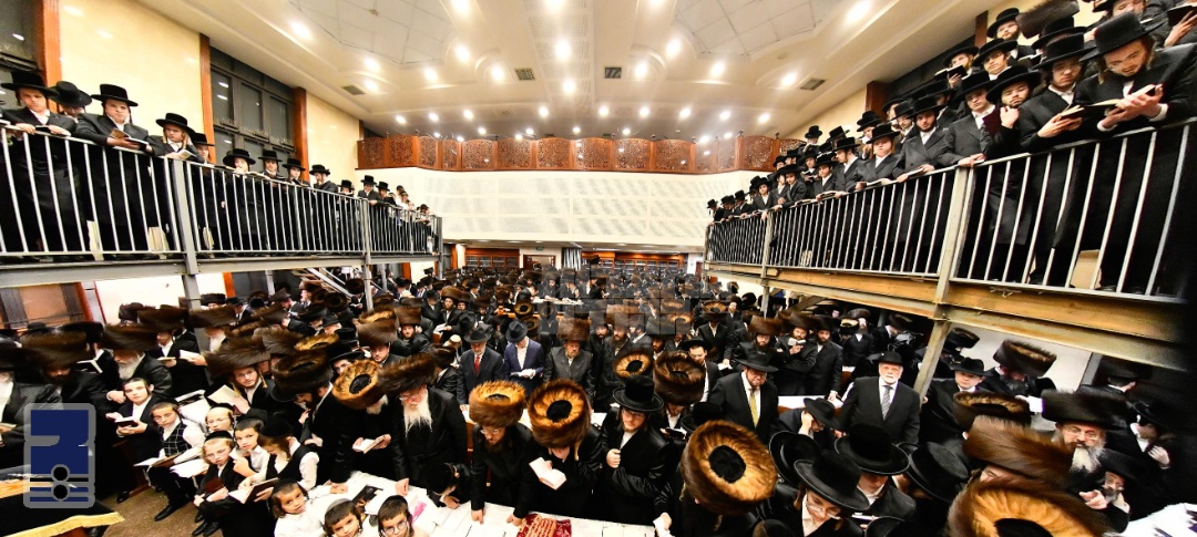 Blog Image