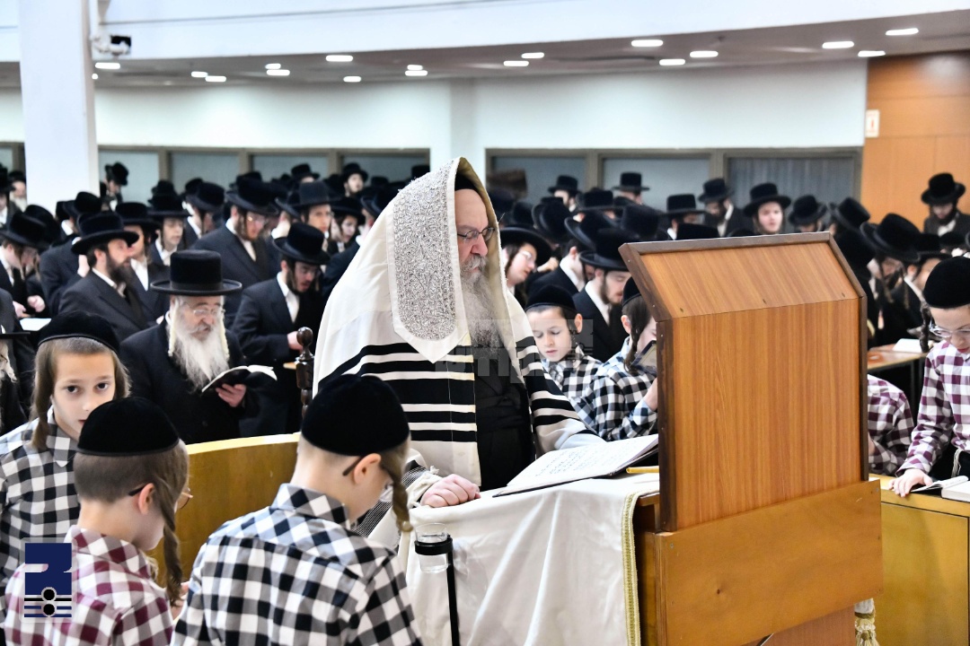 Blog Image