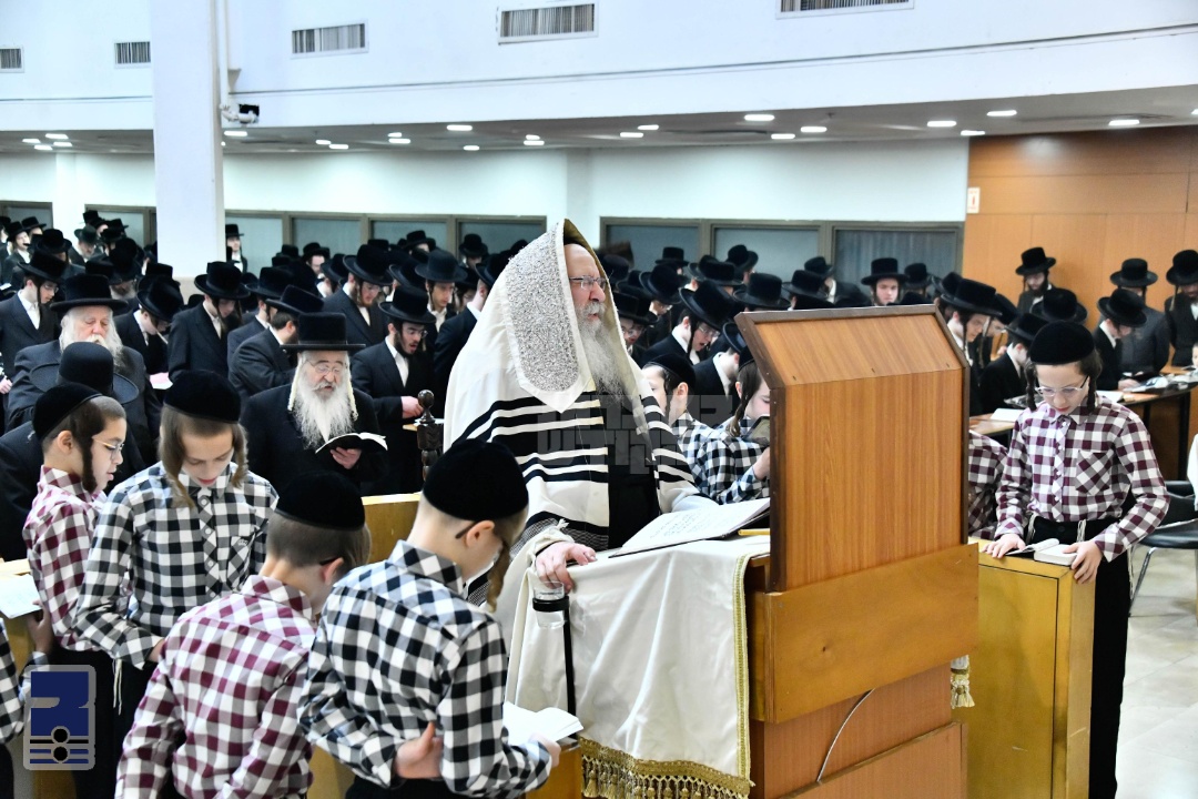 Blog Image