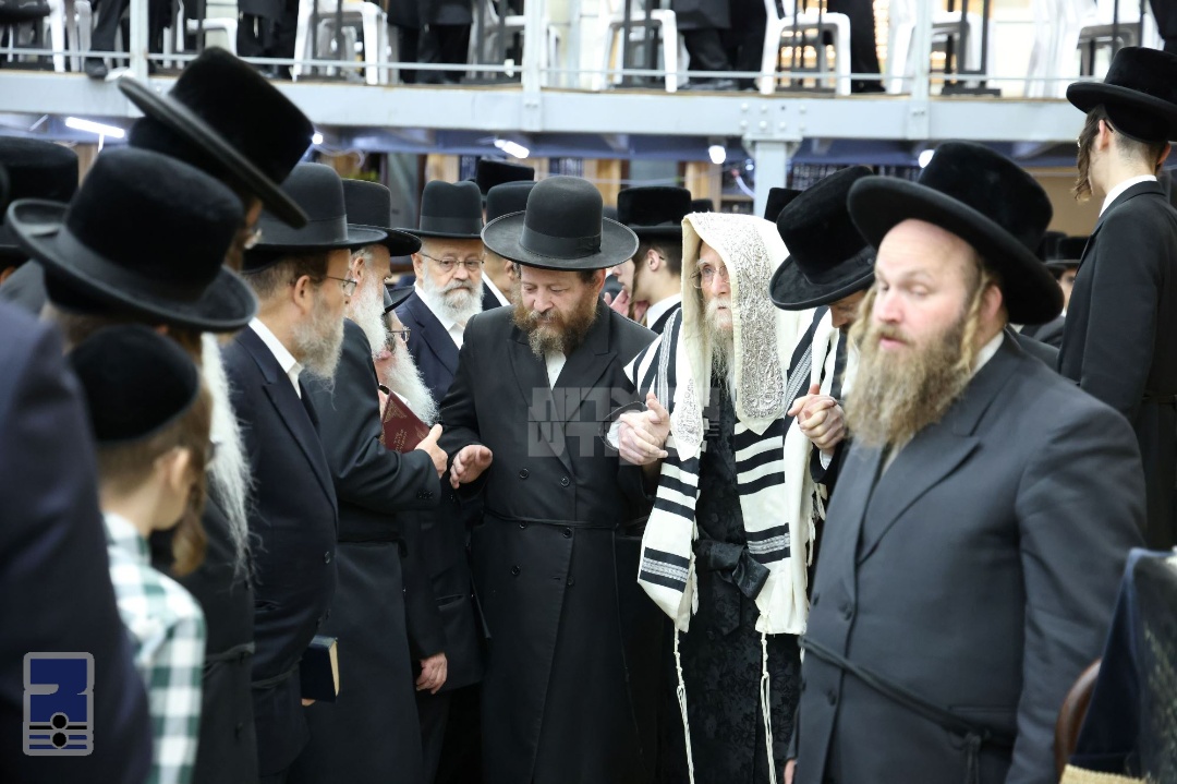 Blog Image