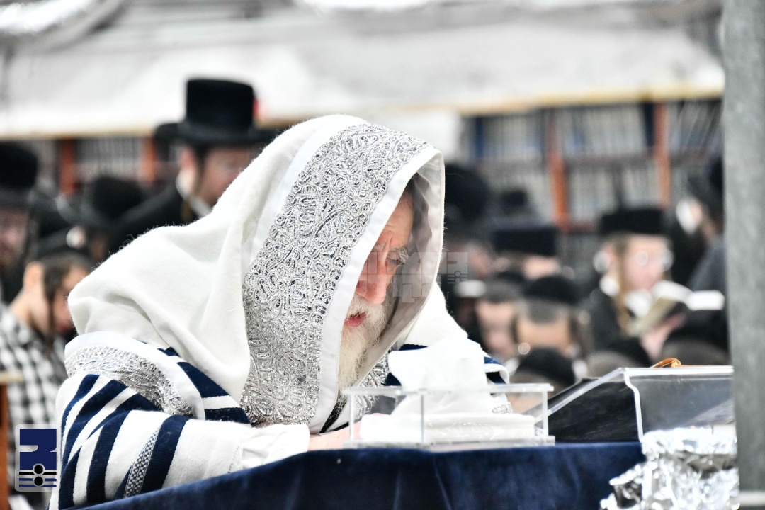 Blog Image