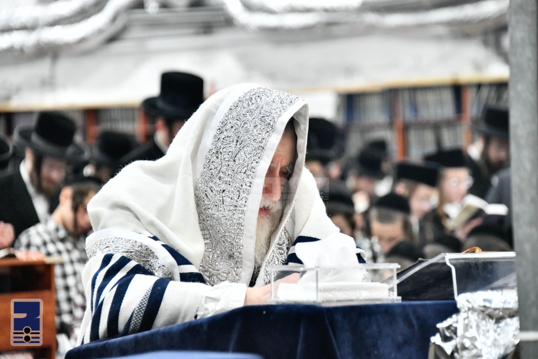 Blog Image
