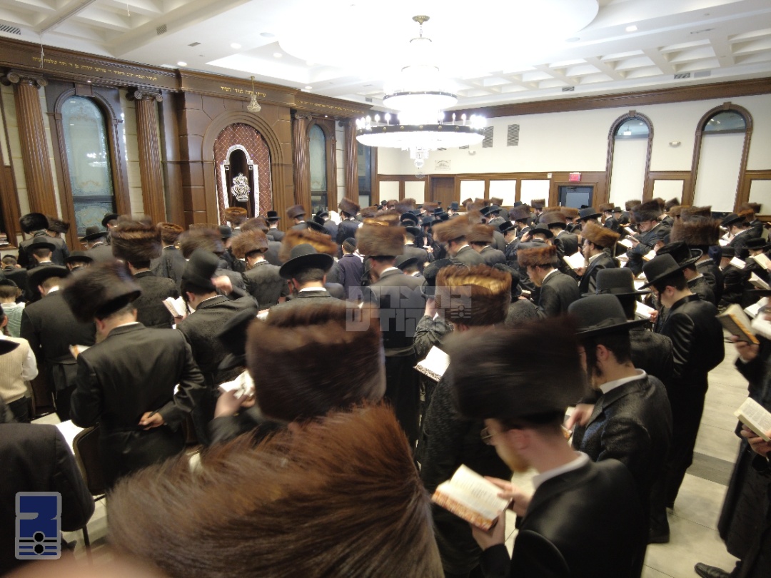 Blog Image