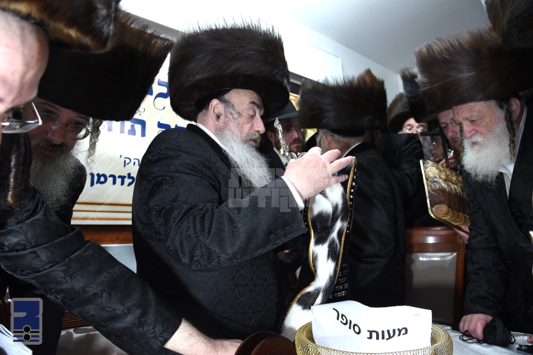Blog Image