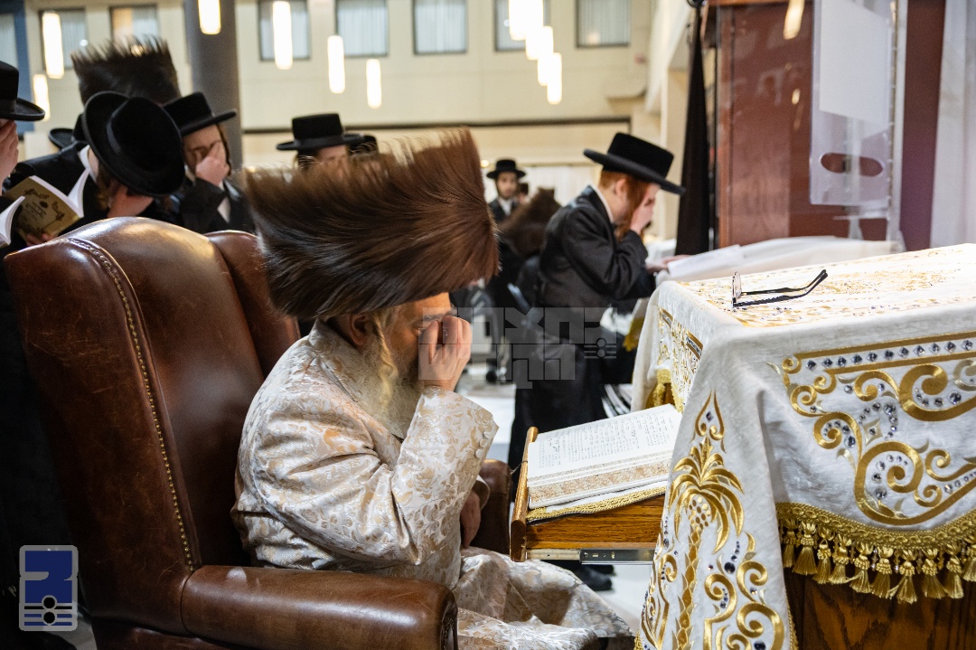 Blog Image