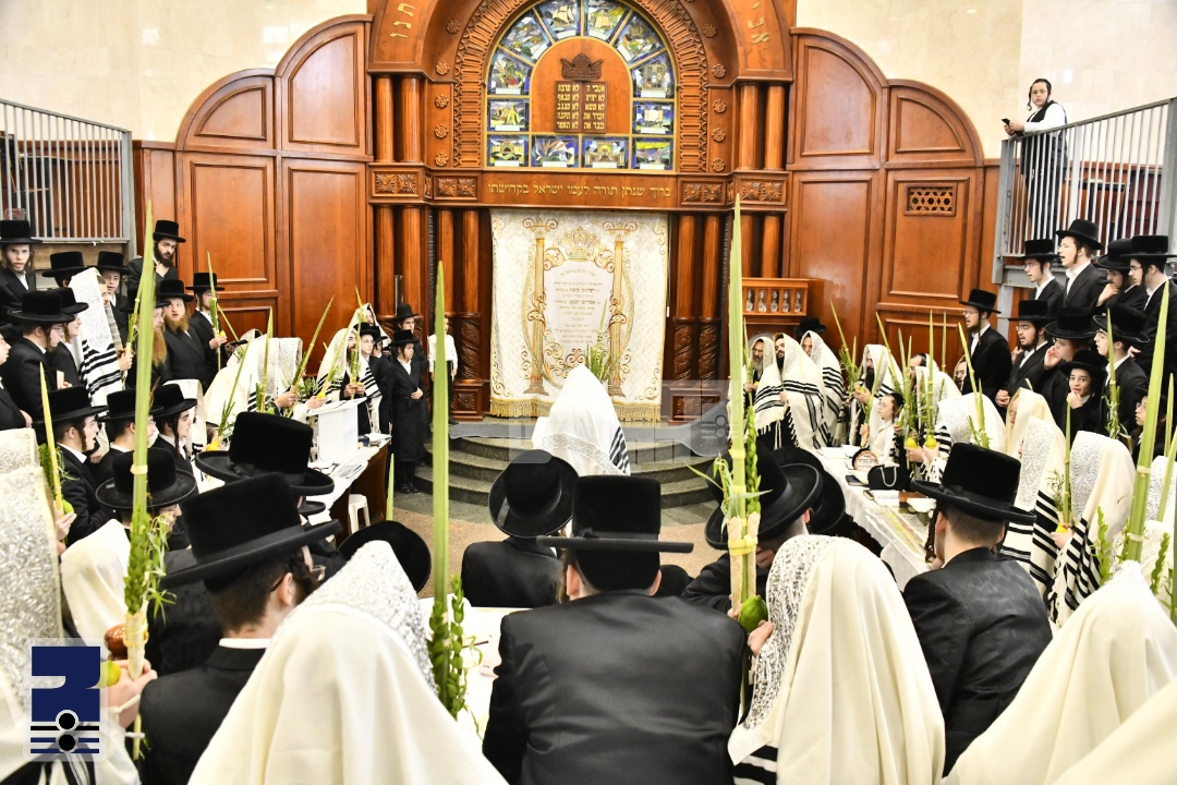 Blog Image