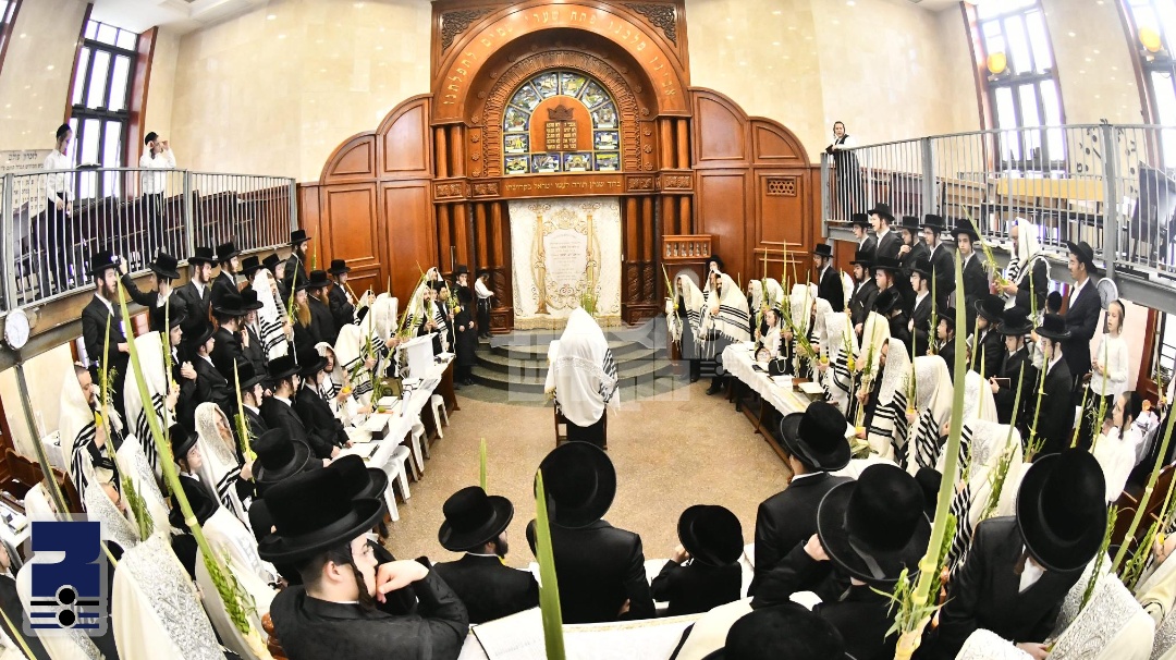 Blog Image