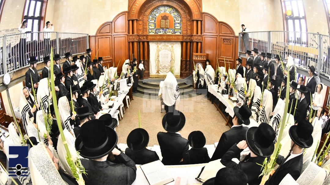 Blog Image