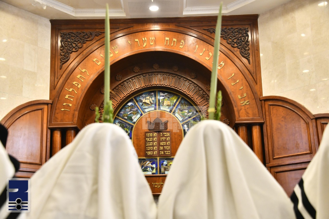 Blog Image