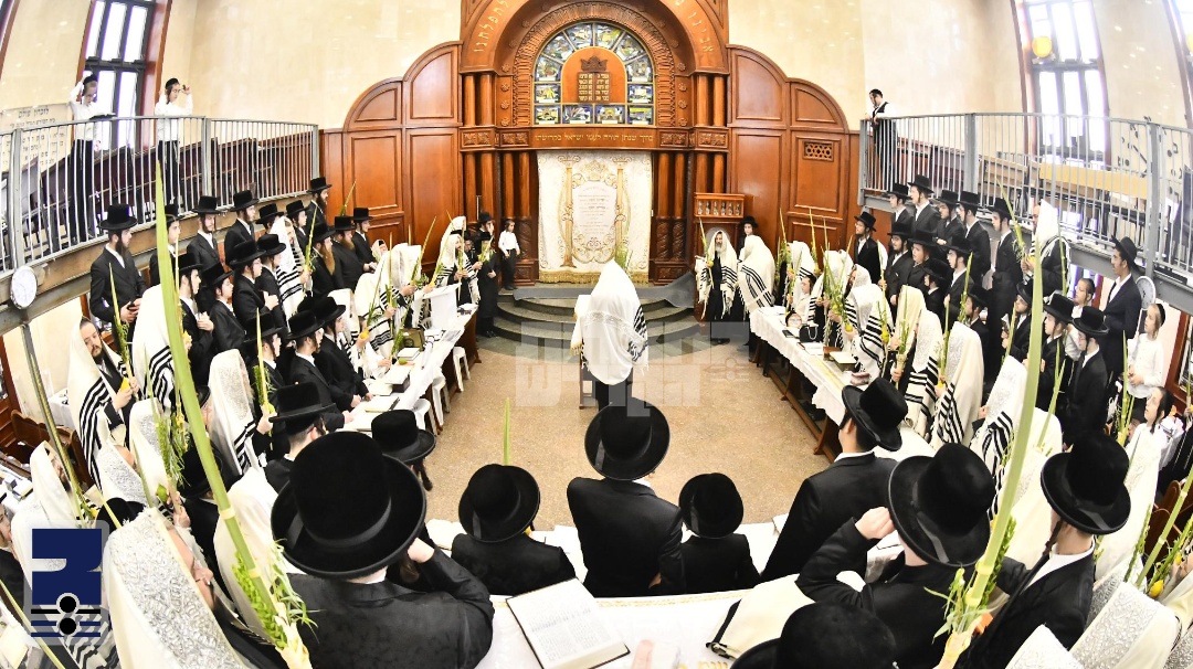 Blog Image