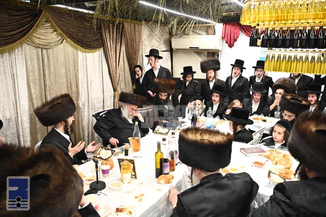 Blog Image