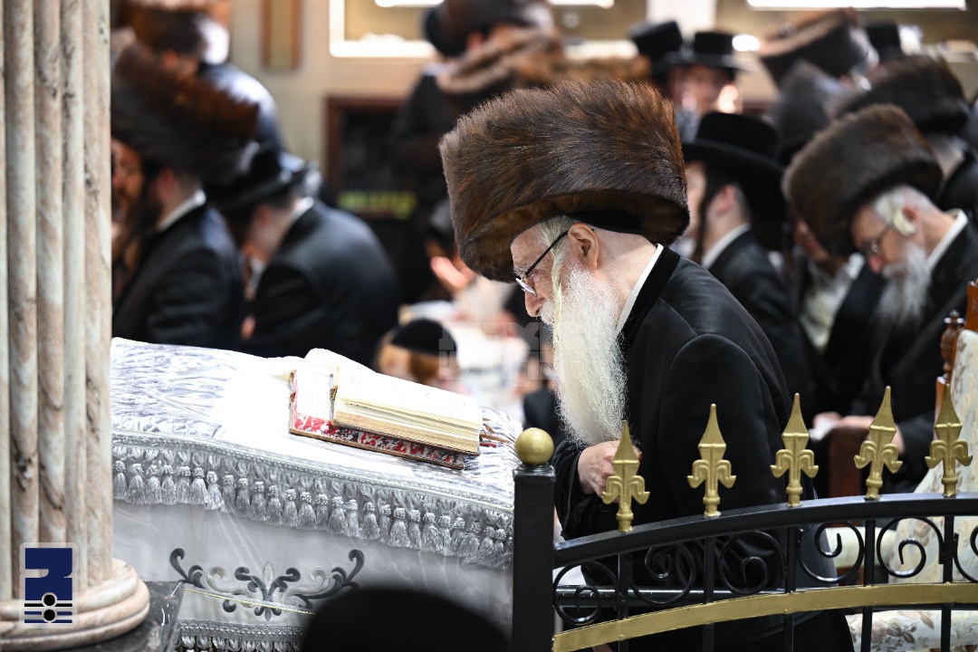 Blog Image