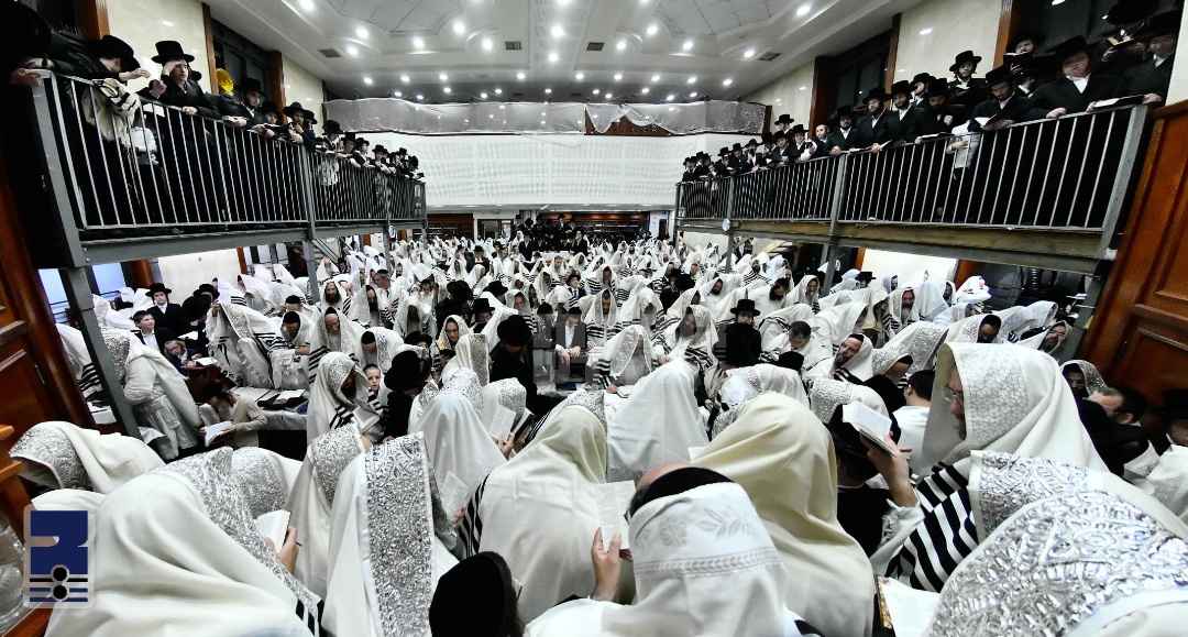 Blog Image