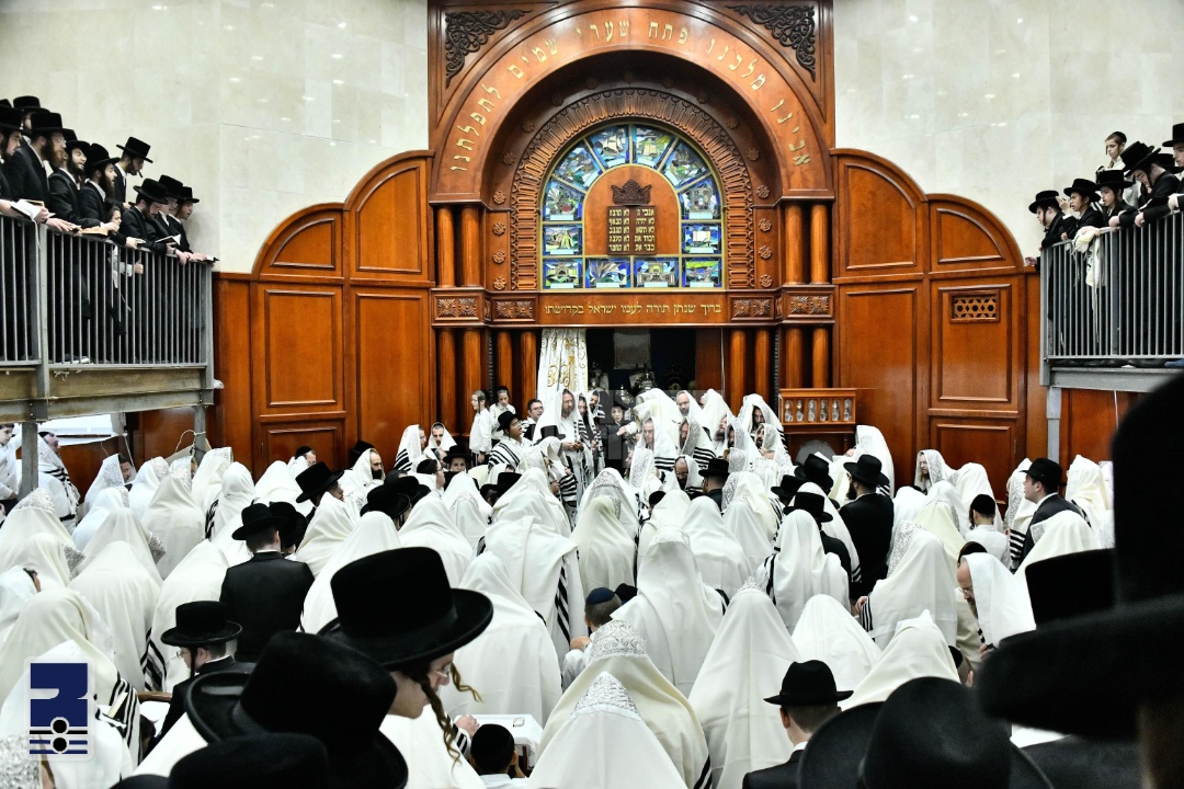 Blog Image