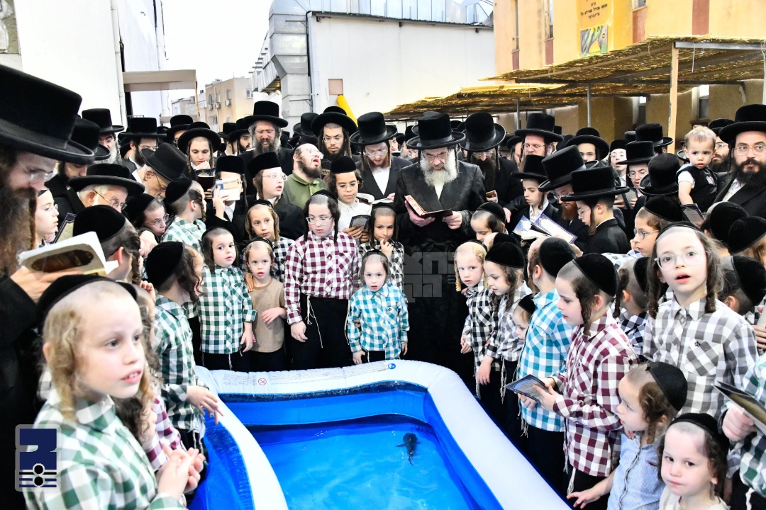 Blog Image