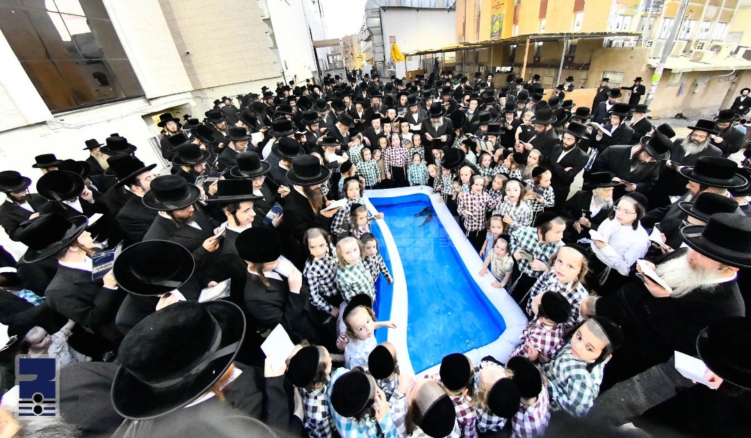 Blog Image